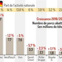 Principaux groupes d’abattage en Allemagne (année 2019) © Ifip-Baromètre porc