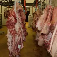 La viande de boucherie bretonne a été très demandée à l'international. © D. Poilvet