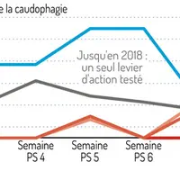 Impact des leviers d’action sur la part de cases avec caudophagie  : Le cumul des leviers d’actions retarde et limite la caudophagie en post-sevrage ©