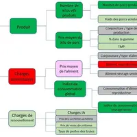 Arbre d'analyse GTE-élevage naisseur engraisseur © GT-Direct-Ifip