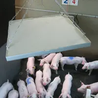 La géométrie et la nature de la technologie utilisée dans les radiants à onde longue ou à onde courte permettent une répartition uniforme de la chaleu