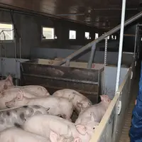 Roland Servant, Cirhyo. « Nous avons dix dossiers de 1 000 places en projet, déjà construits ou en cours de réalisation sur ce modèle de bâtiment, qui