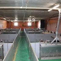 Les sols en caillebotis nid d'abeille sont particulièrement adaptés aux robots de lavage. © D. Poilvet