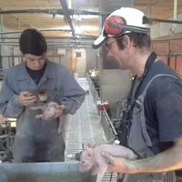 L’organisation du travail est une découverte positive pour beaucoup de jeunes stagiaires © Chambres d'agriculture de ...