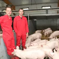 Kevin et Benjamin Coupu ont saisi l’opportunité d’un nouveau débouché de valorisation pour investir dans un bâtiment d’engraissement alternatif de por