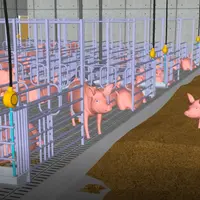 L’ensemble des bâtiments a été imaginé pour offrir des surfaces plus importantes par animal, des zones de vie différentiés et l’accès à des substrats