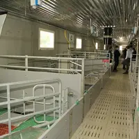 Chaque rangée est composée de 11 cases libertés Pro Dromi Basic de Vereijken, de 2,7 mètres de long sur 2,42 mètres de large, soit une surface totale