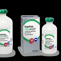 Boehringer Ingelheim associe les vaccins porc Circoflex et le PRRSflex EU