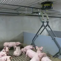 La station expérimentale de l'Ifip a installé quatre modules Flud'R dans une salle d'engraissement de 96 places.