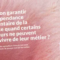 Sanders lance une campagne de communication pour soutenir les éleveurs