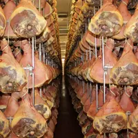 La production de jambon sec de qualité nécessite d'avoir plus de 10 mm de gras de couverture.