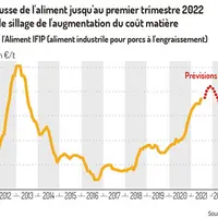 Le repli du prix du porc va persister