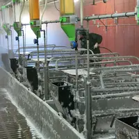 La présence de FPA dans un élevage nécessite l'abattage complet du cheptel, suivi d'un protocole de lavage-désinfection très lourd.