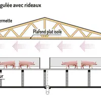 Un bâtiment d’engraissement dans l’air du temps