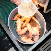 Les meilleures croissances obtenues sur les 24 premières heures de vie ont été le fait des porcelets ayant été bloqués dans un endroit chaud.