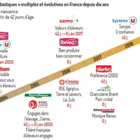 Les filières sans antibiotiques, un levier de valorisation et de progrèsen production porcine