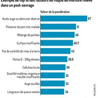Un outil pour identifier les risques de caudophagie en élevage de porcs