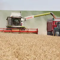 Les stocks mondiaux de céréales au plus bas