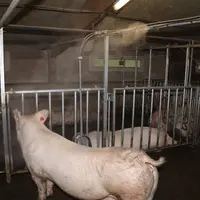 CCPA