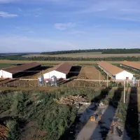 Les intégrateurs de porcs brésiliens au soutien de l'élevage