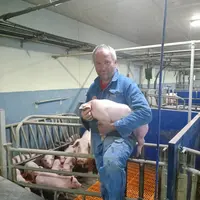 Johannes Scharl. Il sèvre 28 porcelets/truie/an en moyenne et vise les 30.