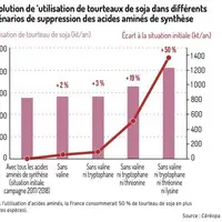 Les acides aminés limitent le recours au soja dans l'aliment des porcs