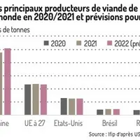 [Graphique] Le top 5 des producteurs de viande de porc dans le monde
