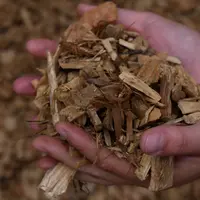 La chaudière est alimentée en plaquettes de bois de calibre G 50 (5 cm2 de section) avec un taux d’humidité inférieur à 20%.