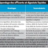 Comment limiter les émissions d’ammoniac à l’épandage du lisier de porc