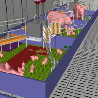 L’utilisation de différents types de sol optimise le confort des animaux (violet : dalle pleine sous la niche ; rouge : dalle pleine pour la truie et