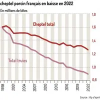 Le cheptel porcin français en baisse en 2022