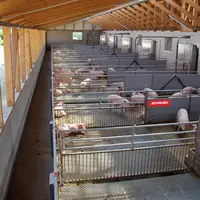 L'étiquetage permettra de distinguer la viande de porc issu d'un élevage alternatif.