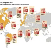 Forte baisse des résultats des élevages de porcs en 2021 à l’international