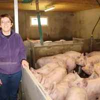 Claudine Chauveau. «Dans le contexte actuel, augmenter le poids des porcs à l’abattoir est économiquement intéressant, à condition que le TMP et l'ind