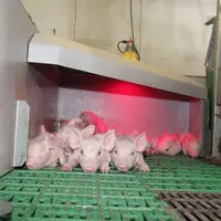 Le temps de retour sur investissement des niches en maternité passe de 5,5 à 3,3 ans quand le prix de l'électricité augmente de 11 à 20 kWh.