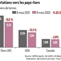Le commerce mondial de viande de porc recule