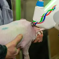 L'injecteur sans aiguille Frevax peut être utilisé pour tout type de vaccins aqueux.