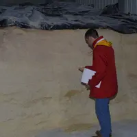 Le silo couloir pour le stockage du maïs doit être étanche et bien tassé pour éviter le risque de contact avec l’air et le développement de levures.