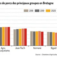 Régression des volumes abattus de porcs en Bretagne