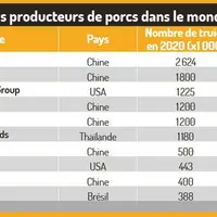 Six chinois parmi les dix principaux producteurs de porcs dans le monde
