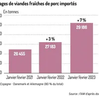 Les importations françaises de viande de porc augmentent