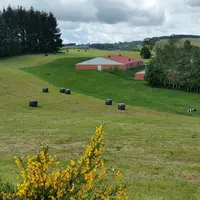 <p>La préservation de la filière du Porc de montagne nécessite de maintenir toutes les formes d&amp;#039;agriculture, pour favoriser les complémentari