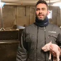 sanders porc éleveur porcelet porcherie alimentation animal