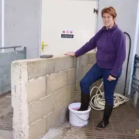 Encore trop de déplacements à risque sanitaire dans les élevages de porcs