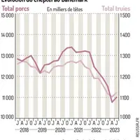 Forte baisse du cheptel de truies au Danemark