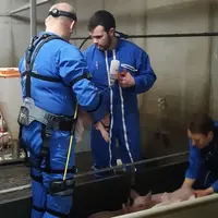 L'utilisation des exosquelettes augmente le temps de travail lors des vaccinations.