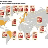 International : chute drastique des résultats des élevages de porc en 2022