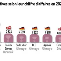 Qui est la coopérative française dans le top 10 européen des coopératives européennes. 