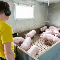Caudosuivi, numérise ses fiches monitoring, facilitant le suivi des observations de cannibalisme et leur archivage.