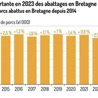 Baisse importante des abattages bretons en 2023Nombre de porcs abattus en Bretagne depuis 2014